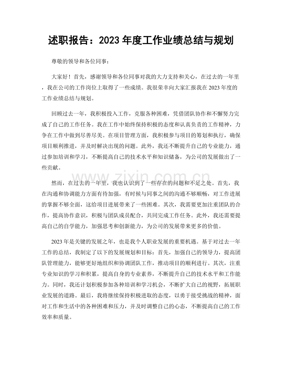 述职报告：2023年度工作业绩总结与规划.docx_第1页