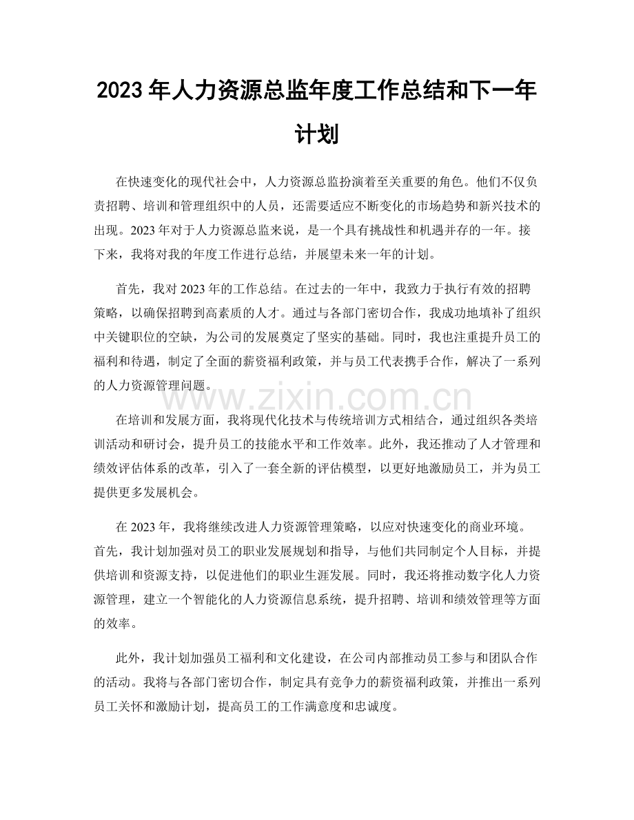 2023年人力资源总监年度工作总结和下一年计划.docx_第1页