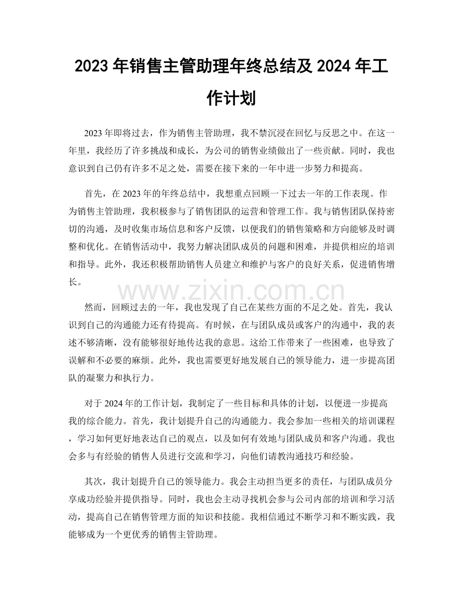 2023年销售主管助理年终总结及2024年工作计划.docx_第1页