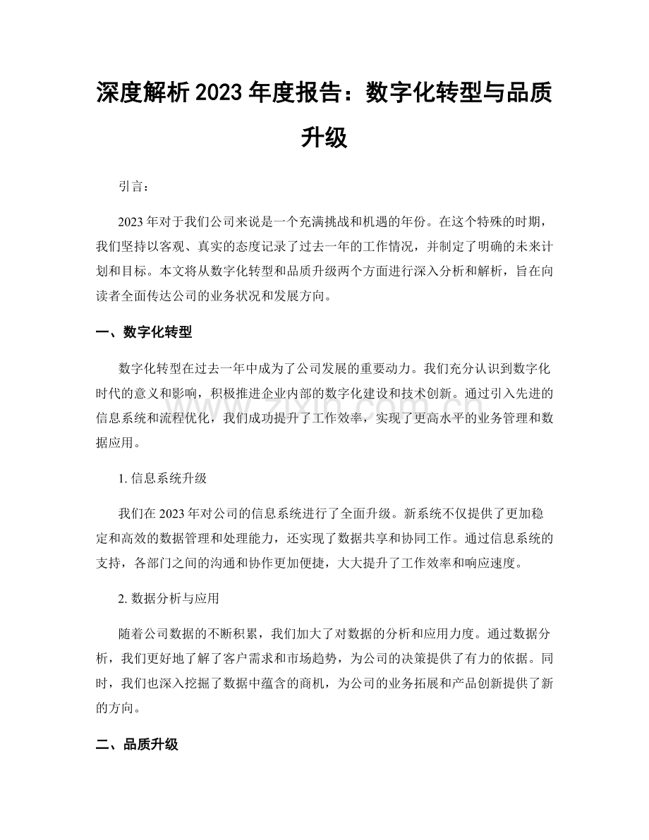 深度解析2023年度报告：数字化转型与品质升级.docx_第1页