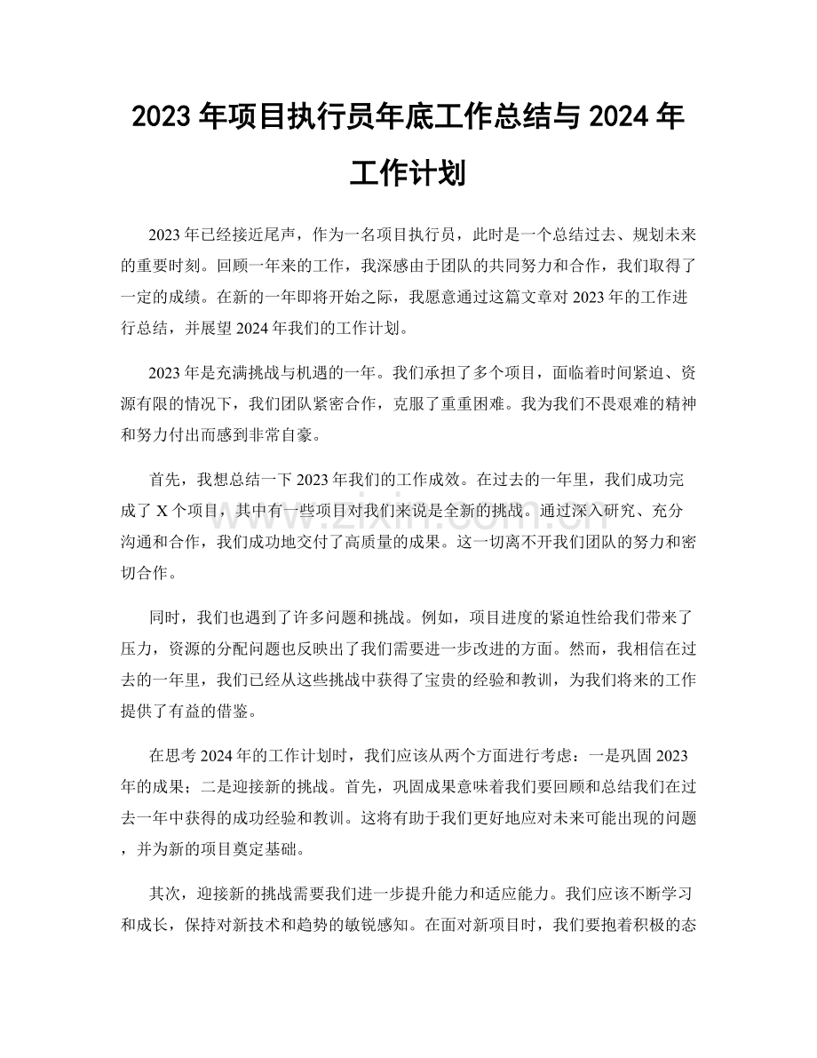 2023年项目执行员年底工作总结与2024年工作计划.docx_第1页