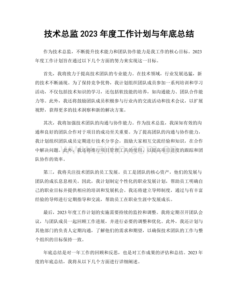 技术总监2023年度工作计划与年底总结.docx_第1页