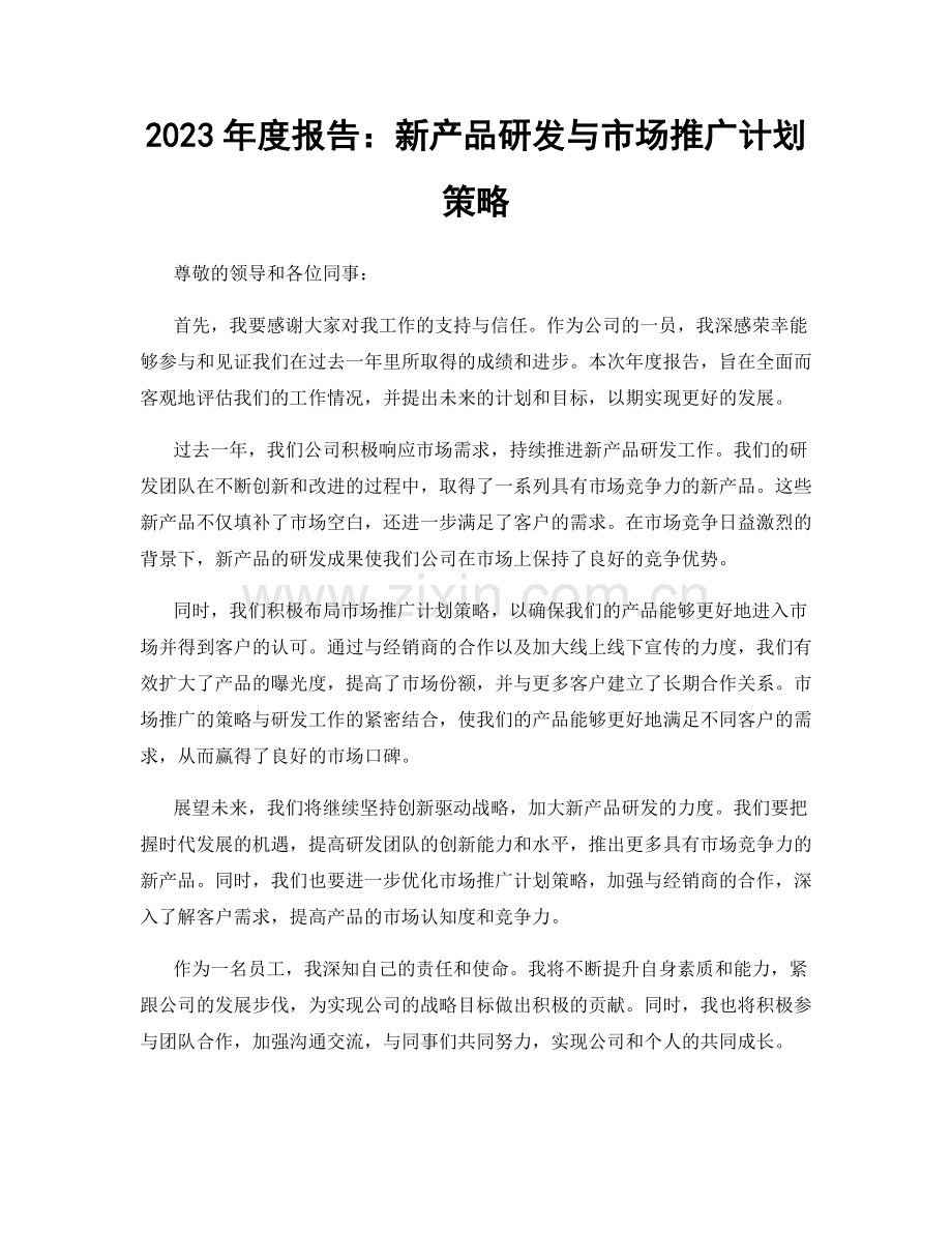 2023年度报告：新产品研发与市场推广计划策略.docx_第1页