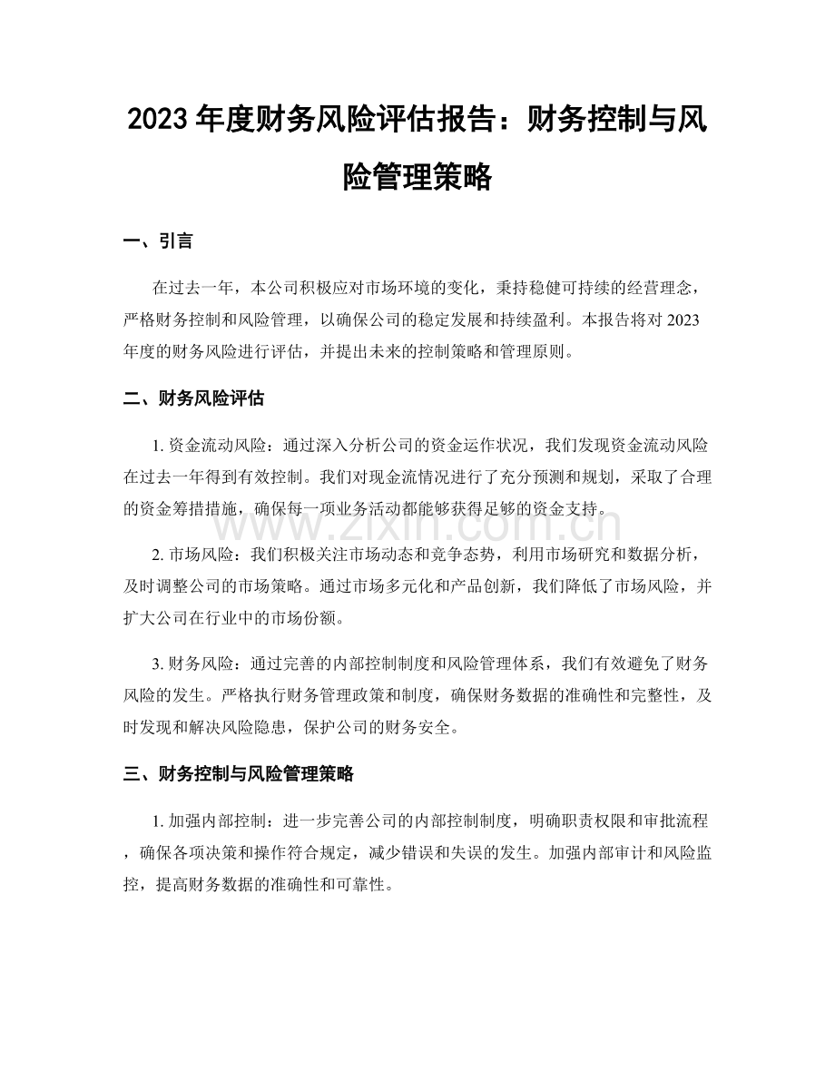 2023年度财务风险评估报告：财务控制与风险管理策略.docx_第1页