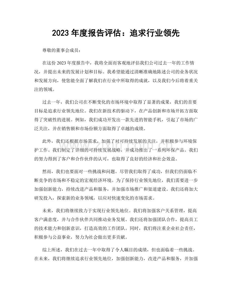 2023年度报告评估：追求行业领先.docx_第1页