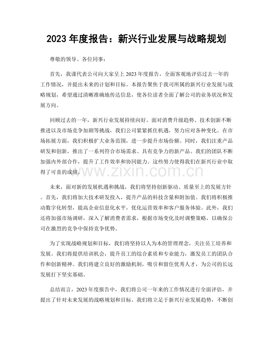 2023年度报告：新兴行业发展与战略规划.docx_第1页