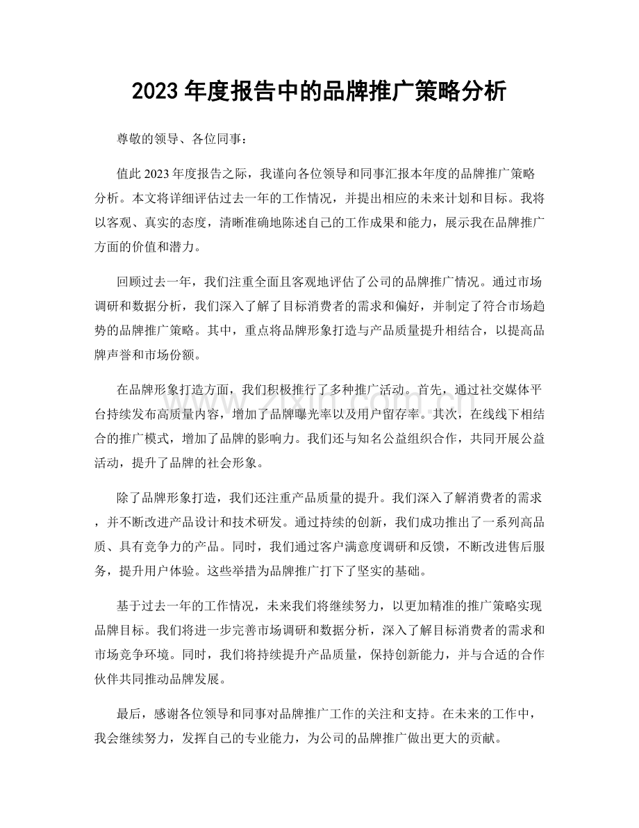 2023年度报告中的品牌推广策略分析.docx_第1页