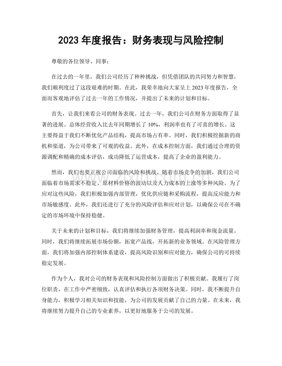 2023年度报告：财务表现与风险控制.docx_第1页