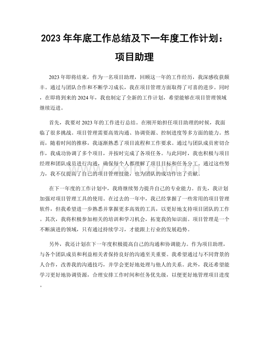 2023年年底工作总结及下一年度工作计划：项目助理.docx_第1页