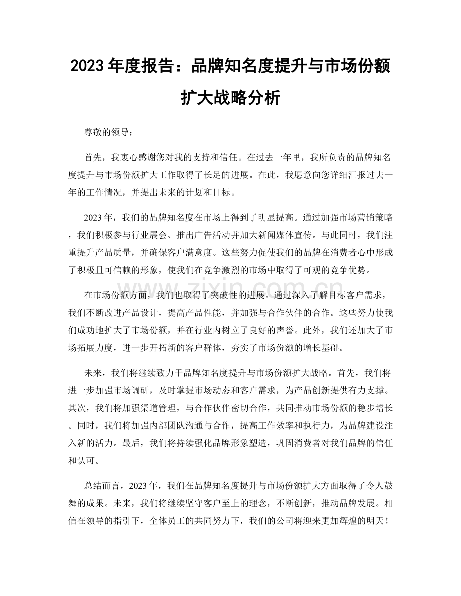 2023年度报告：品牌知名度提升与市场份额扩大战略分析.docx_第1页