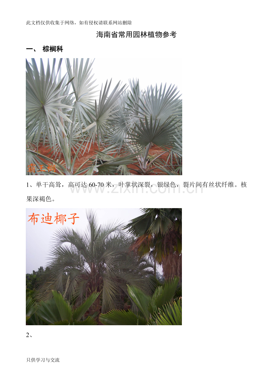 海南省常用园林植物参考讲课教案.doc_第1页