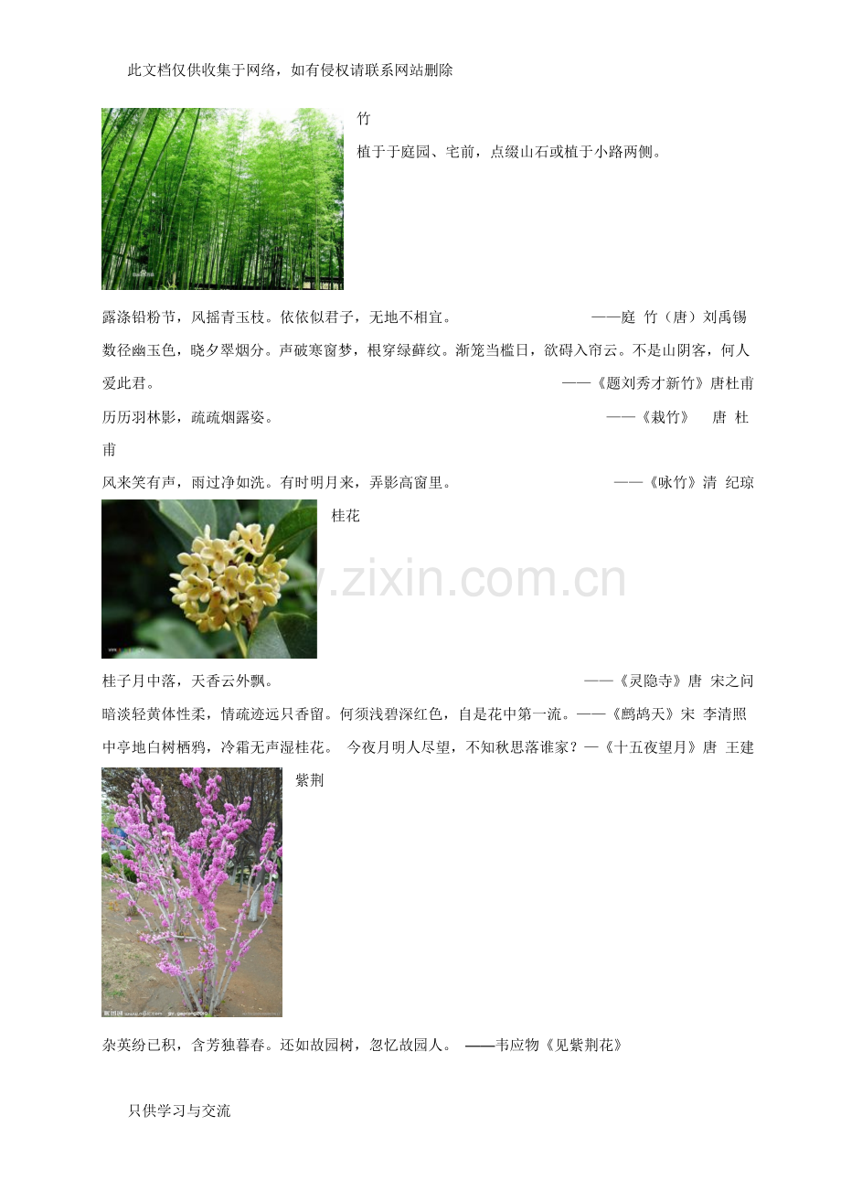 有关植物的诗词整理教程文件.doc_第2页