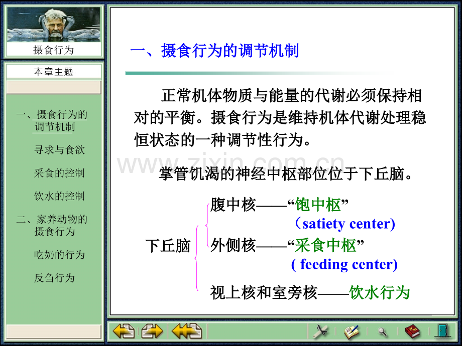 第三章摄食行为.pptx_第1页