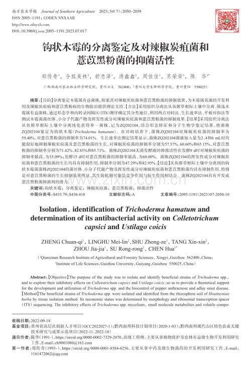 钩状木霉的分离鉴定及对辣椒炭疽菌和薏苡黑粉菌的抑菌活性.pdf