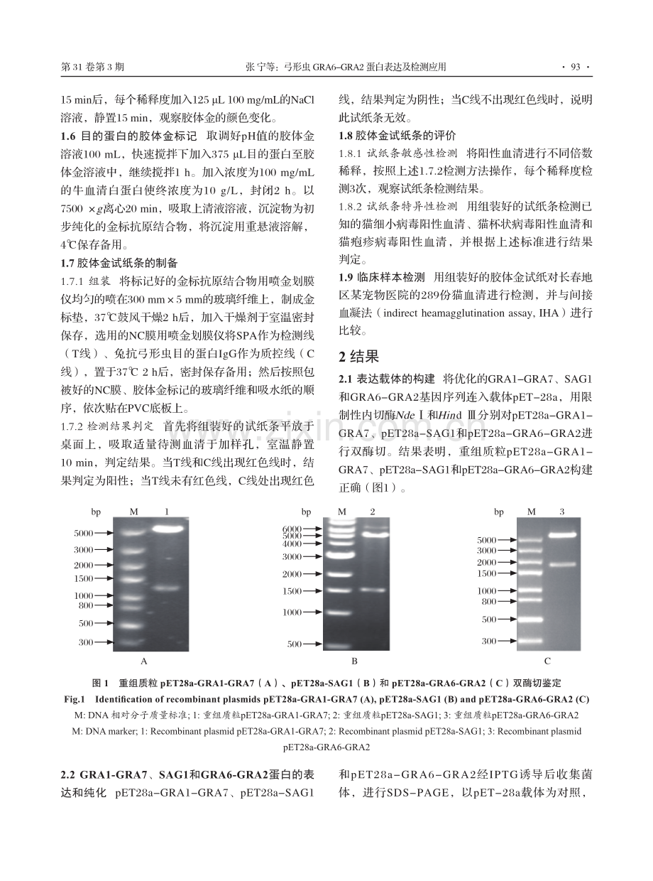 弓形虫GRA6-GRA2蛋白表达及检测应用.pdf_第3页