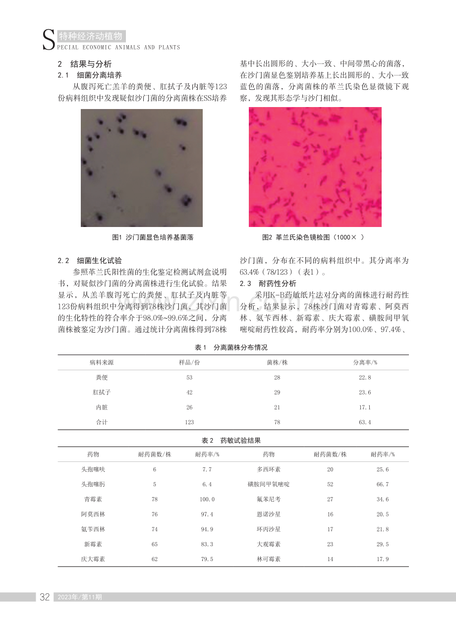 羔羊源沙门菌的分离鉴定与药敏试验.pdf_第2页