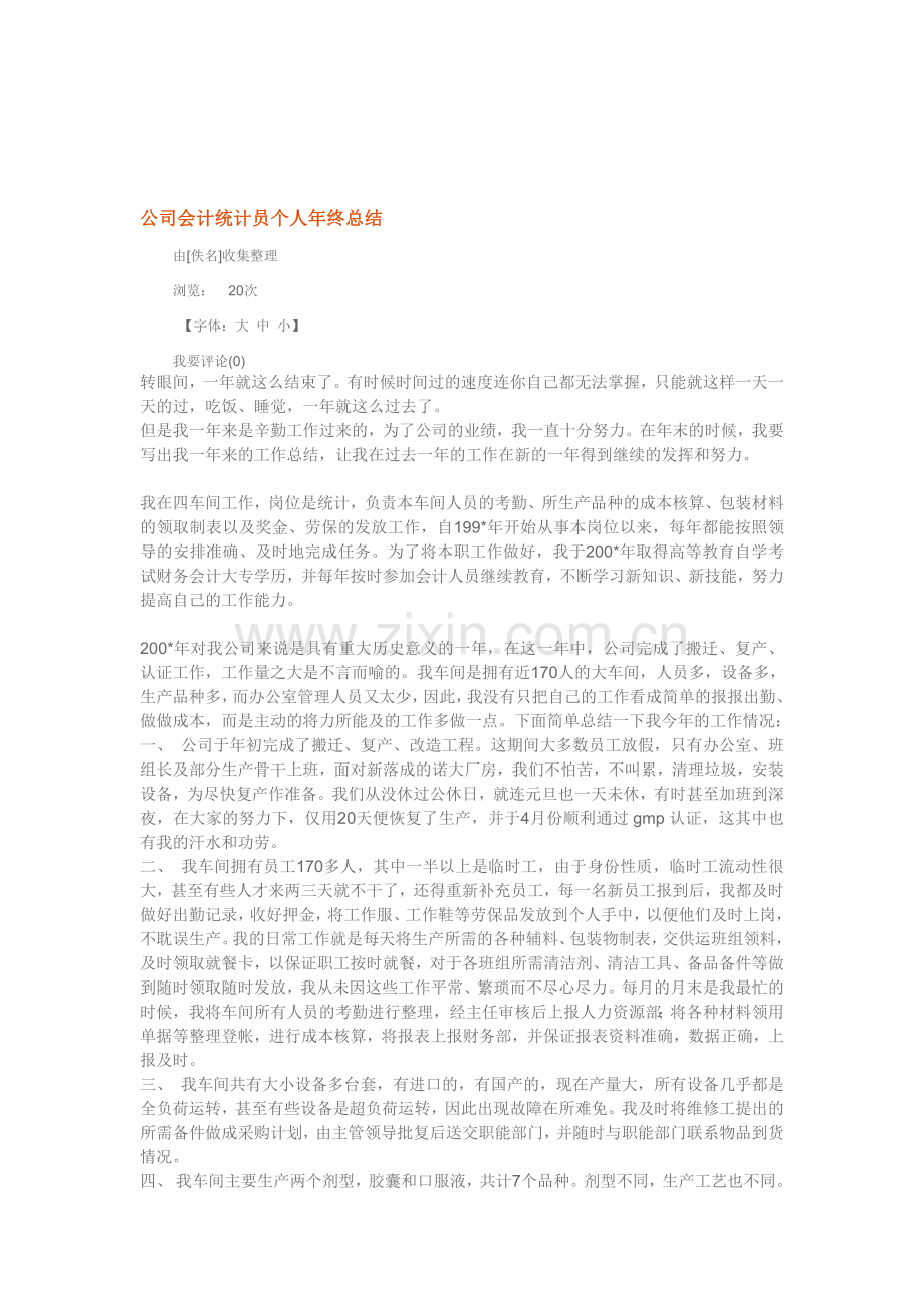 公司会计统计员个人年终总结.doc_第1页