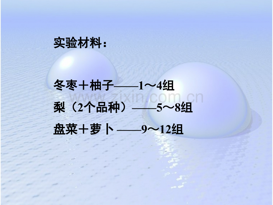 生化实验三果蔬中蛋白质含量测定.pptx_第3页