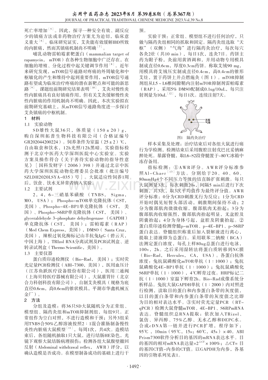 隔药灸对慢性炎性内脏痛大鼠mTOR-4E-BP1_S6RP信号通路的调控作用.pdf_第2页