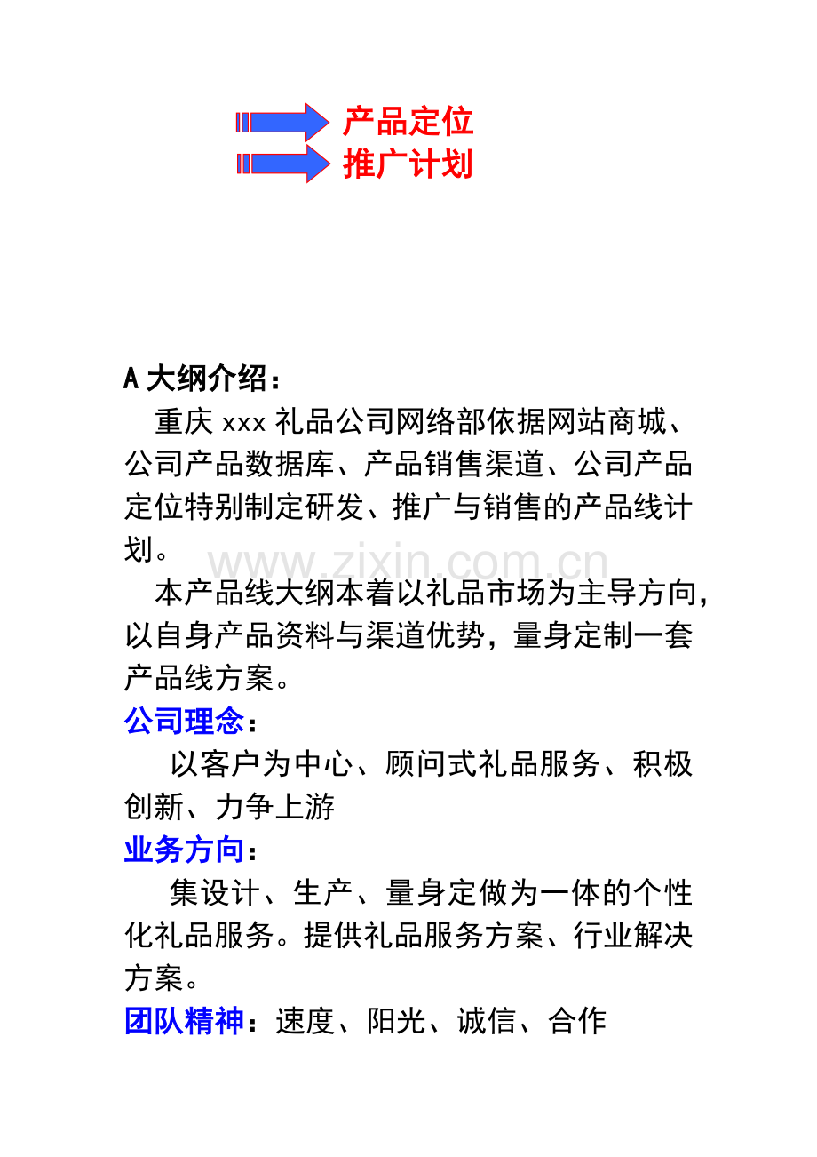 公司产品线大纲及网络推广计划方案.doc_第2页