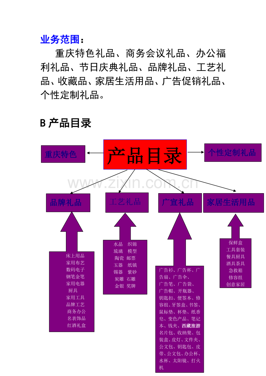 公司产品线大纲及网络推广计划方案.doc_第3页