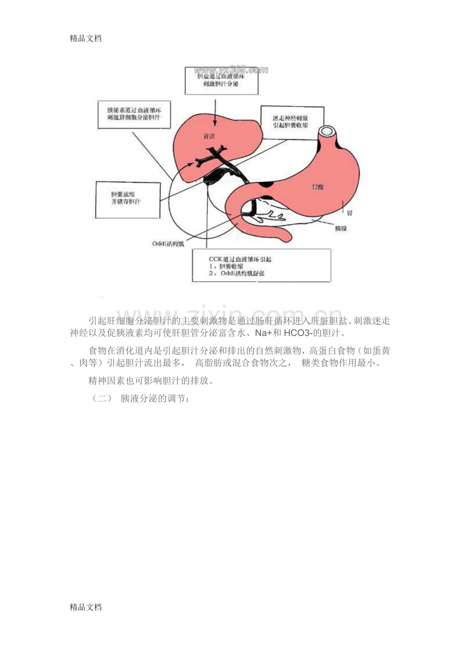 胃液胆汁胰液颜色说课讲解.doc_第2页