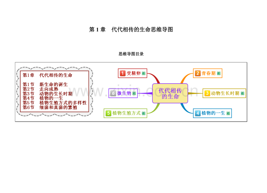 浙教版科学七年级下册第1章-代代相传的生命整章思维导图资料讲解.doc_第1页