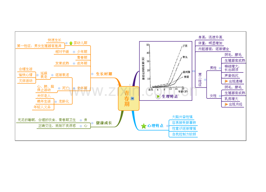 浙教版科学七年级下册第1章-代代相传的生命整章思维导图资料讲解.doc_第3页