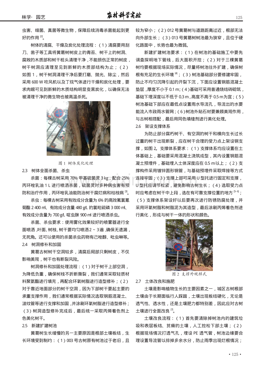 古树保护和复壮技术的应用分析——以眉山市古树为例.pdf_第2页