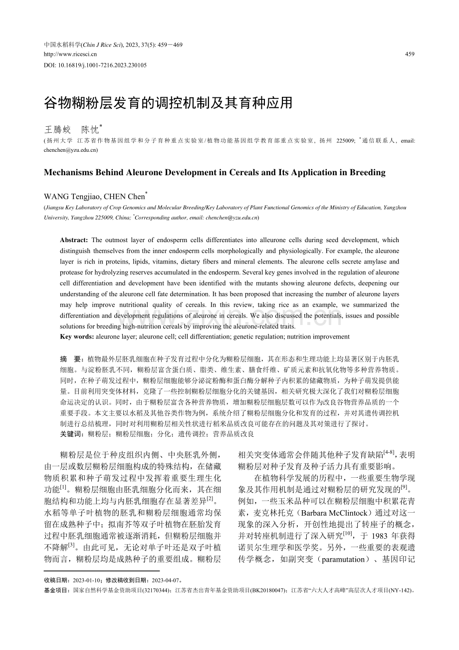 谷物糊粉层发育的调控机制及其育种应用.pdf_第1页