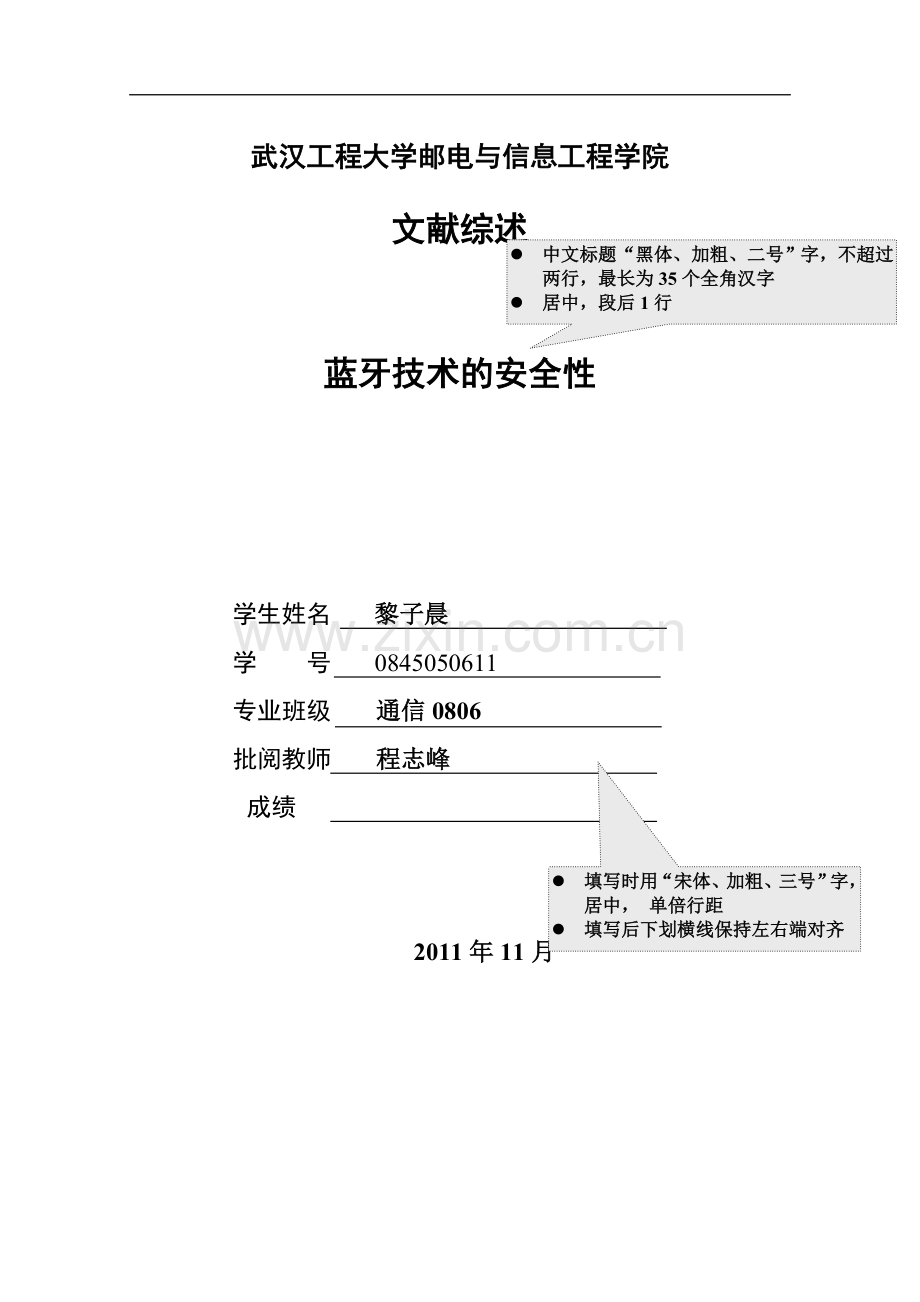 蓝牙技术的安全性.doc_第1页