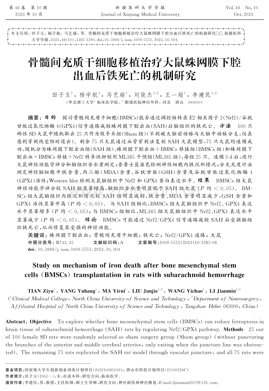 骨髓间充质干细胞移植治疗大鼠蛛网膜下腔出血后铁死亡的机制研究.pdf_第1页