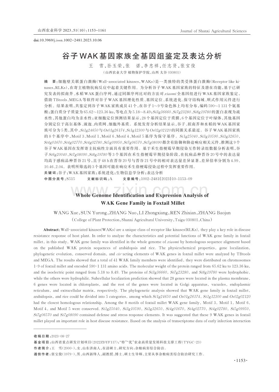 谷子WAK基因家族全基因组鉴定及表达分析.pdf_第1页