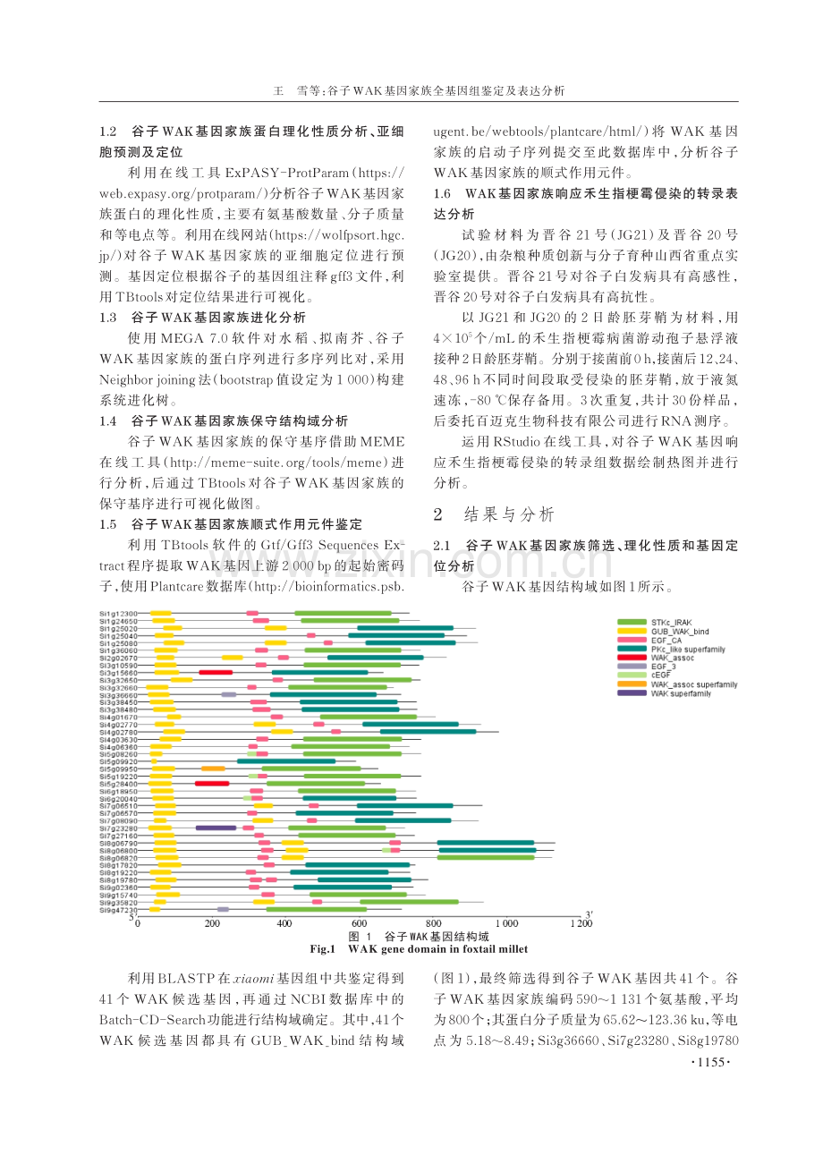 谷子WAK基因家族全基因组鉴定及表达分析.pdf_第3页