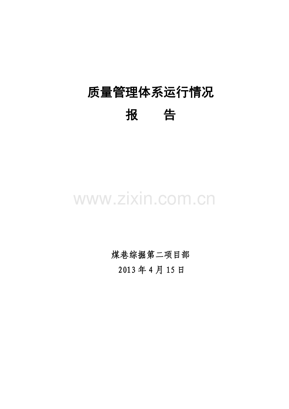 2013年质量管理体系运行情况报告.doc_第1页