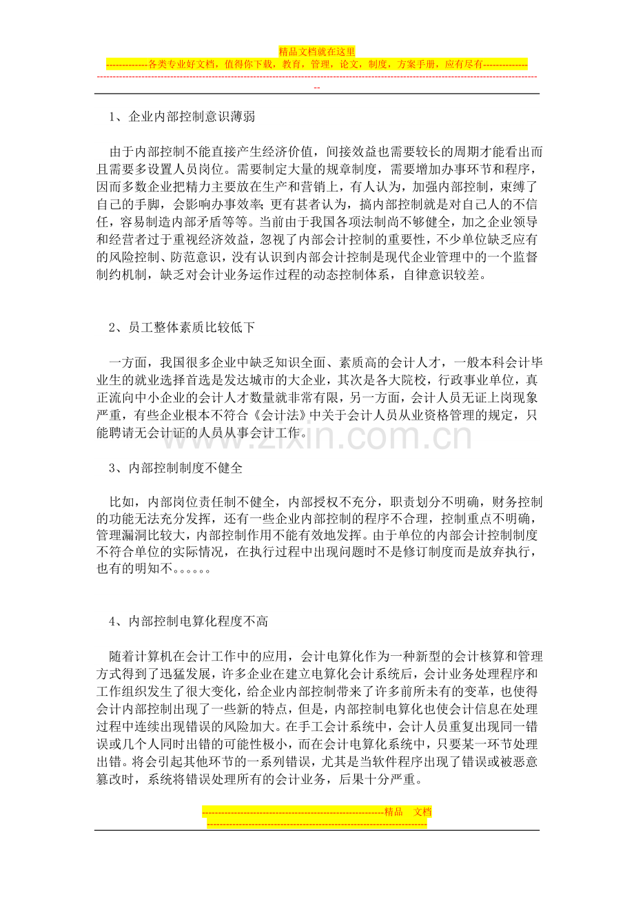 论会计内部会计制度.doc_第2页