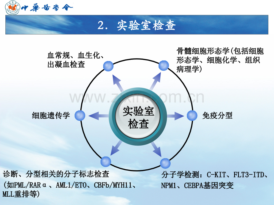 AML中国诊疗指南AML部分V2.pptx_第3页