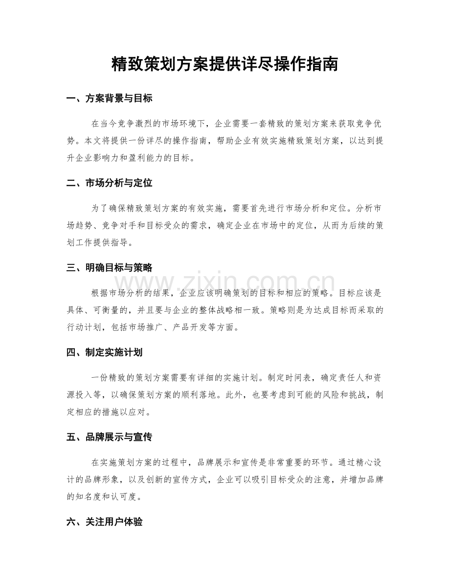 精致策划方案提供详尽操作指南.docx_第1页