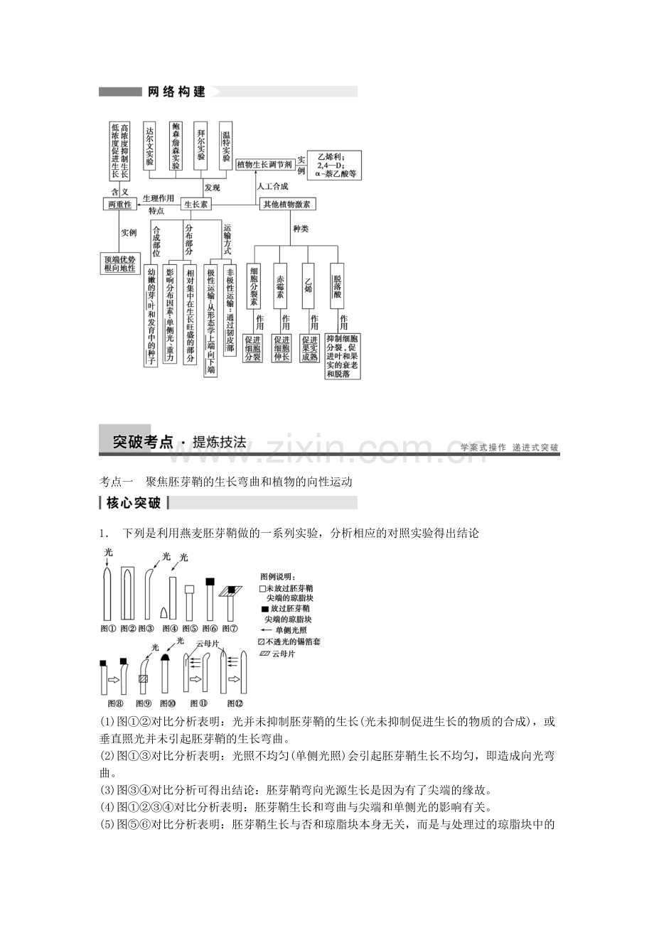 高三生物一轮复习830植物的激素调节教学案新人教版.doc_第3页