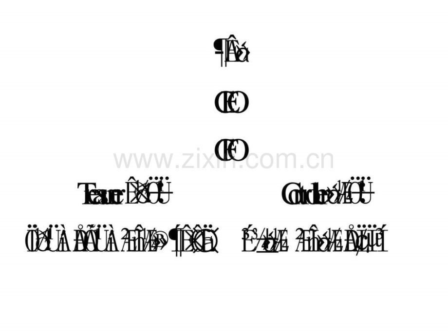 公司理财与投资.pptx_第2页