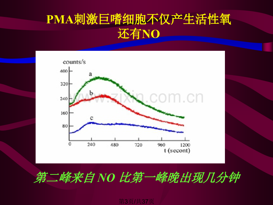 Bpcl-应用举例.ppt_第3页