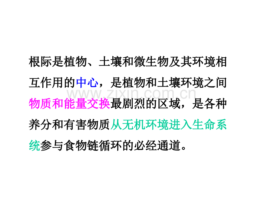 高效率曝气系统与绳状滤材于生物膜式反应器的应用.pptx_第3页