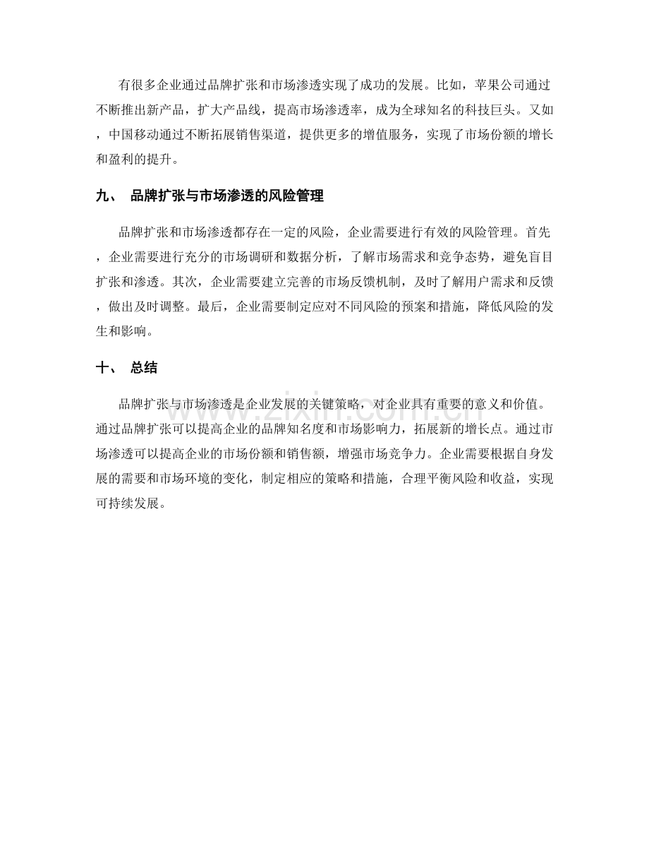 策划方案中的品牌扩张与市场渗透.docx_第3页