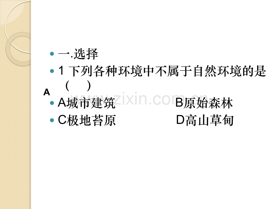 地理：13当代面临的环境问题课件1鲁教版选修6.pptx_第3页