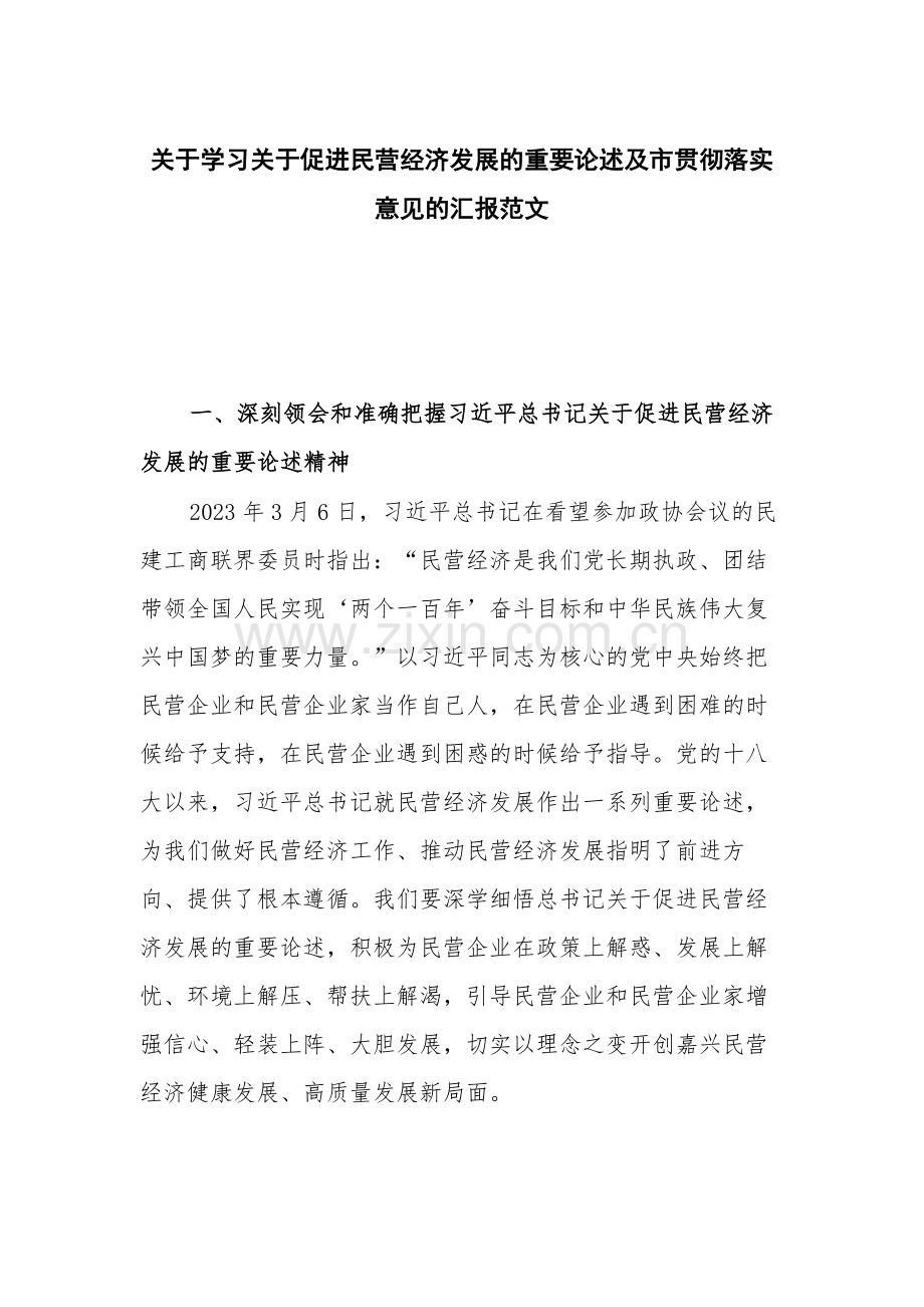 关于学习关于促进民营经济发展的重要论述及市贯彻落实意见的汇报范文.docx_第1页