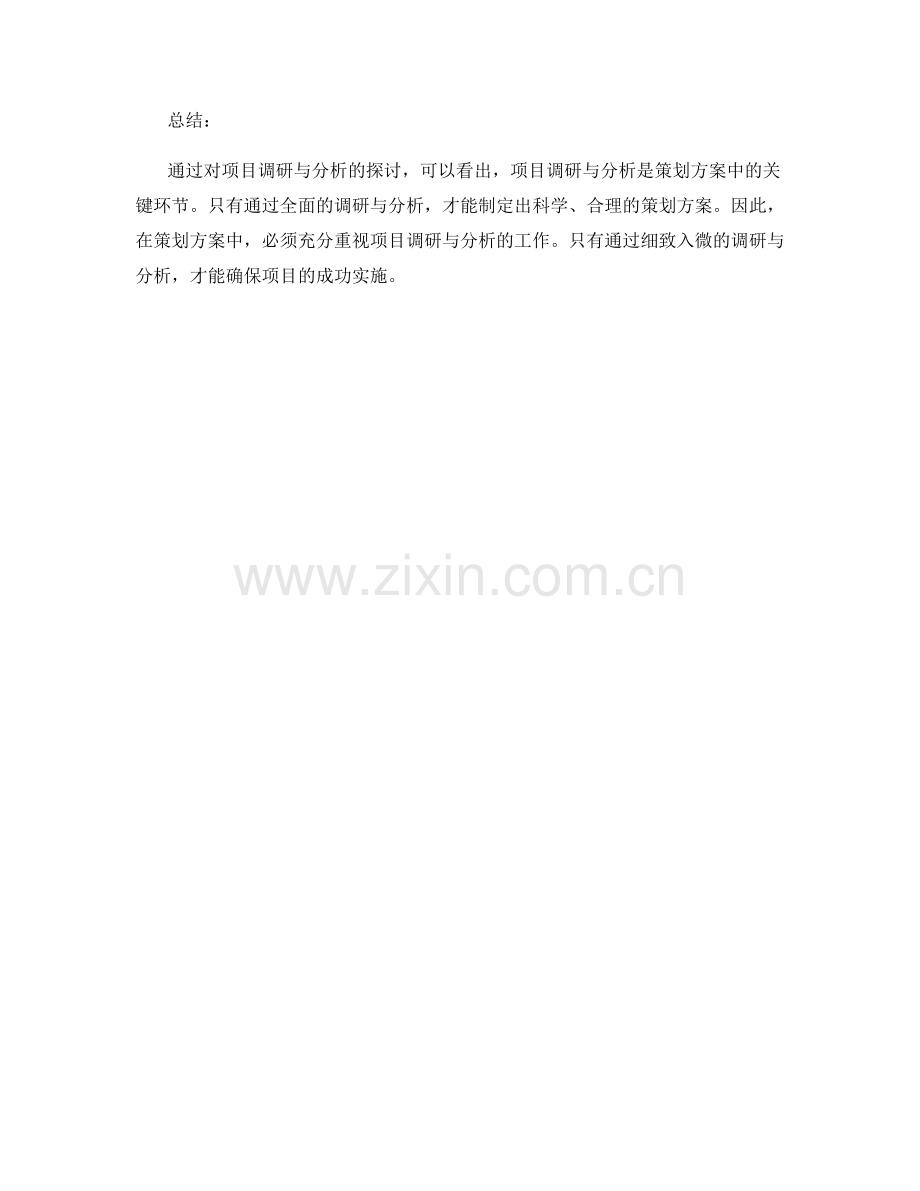 策划方案中的项目调研与分析.docx_第3页