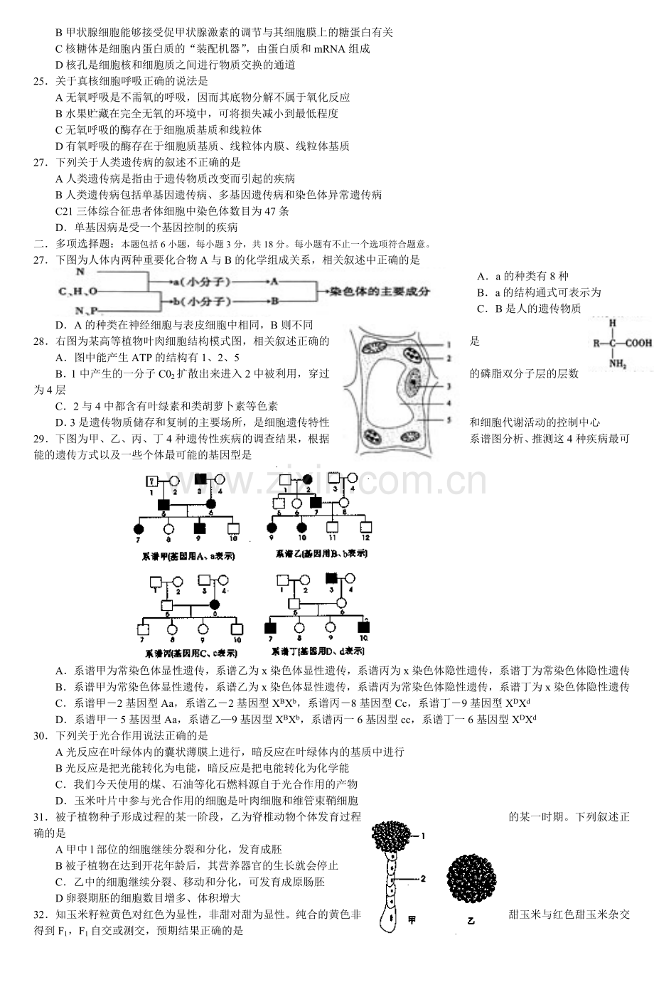 江苏省高考生物试题8.doc_第3页