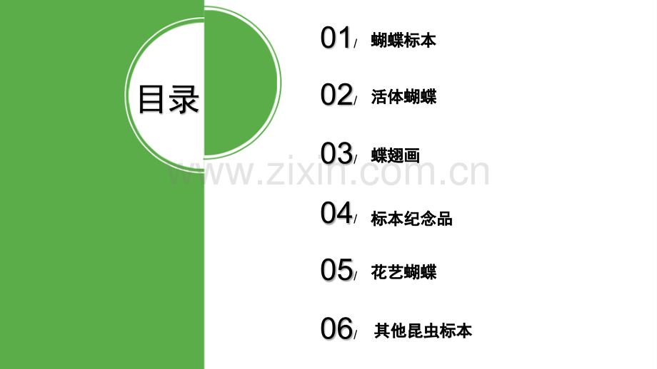 蝴蝶展活动策划方案.pptx_第1页