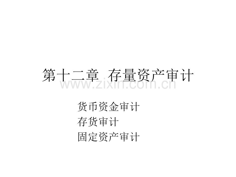 存量资产审计.pptx_第1页