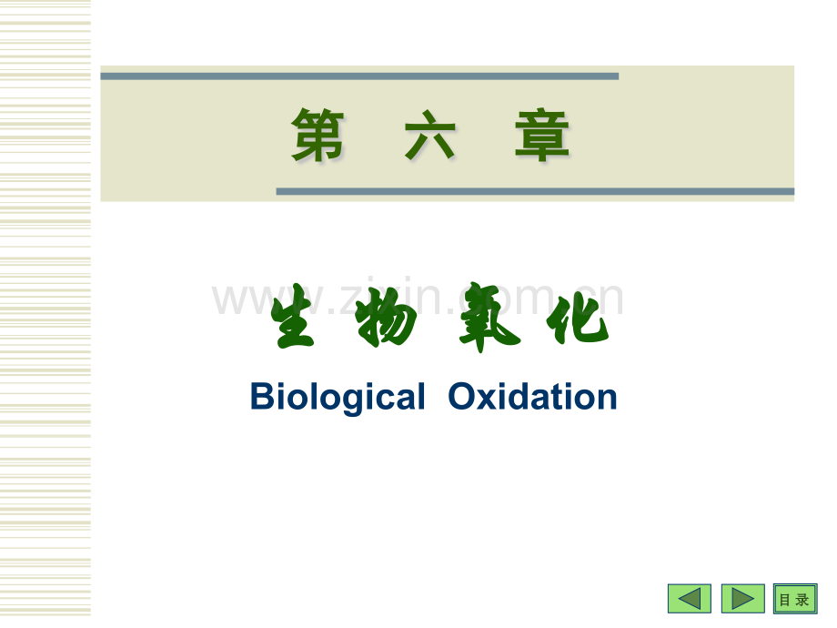 生化课件6生物氧化.pptx_第1页